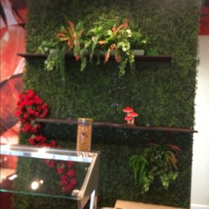 Meet your Posher, Aine